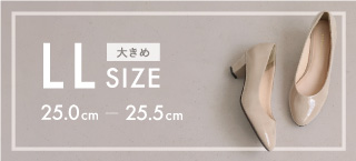 fTCY 25.0cm?26.0cm