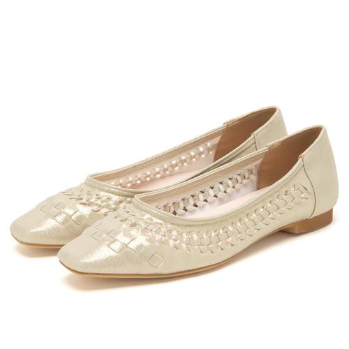 �X�N�G�A�g�D�T�V���b�V���t���b�g�p���v�X