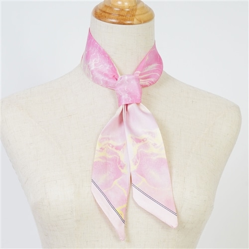 �s���N�n���`�[�t�v�����g�i���[�X�J�[�t