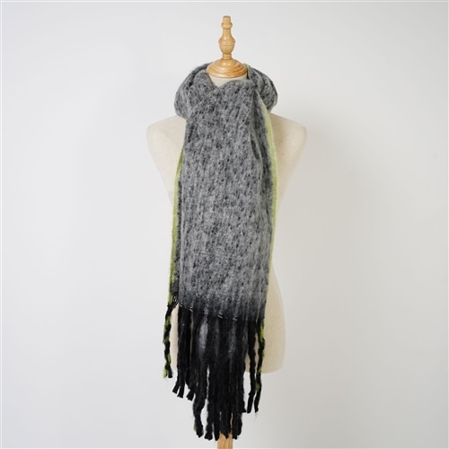 �{�����[���O���f�[�V�����z�F�}�t���[