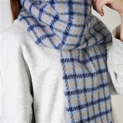 �K���N���u�`�F�b�N�}�t���[