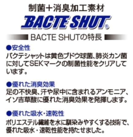 |Cg3 C[W摜